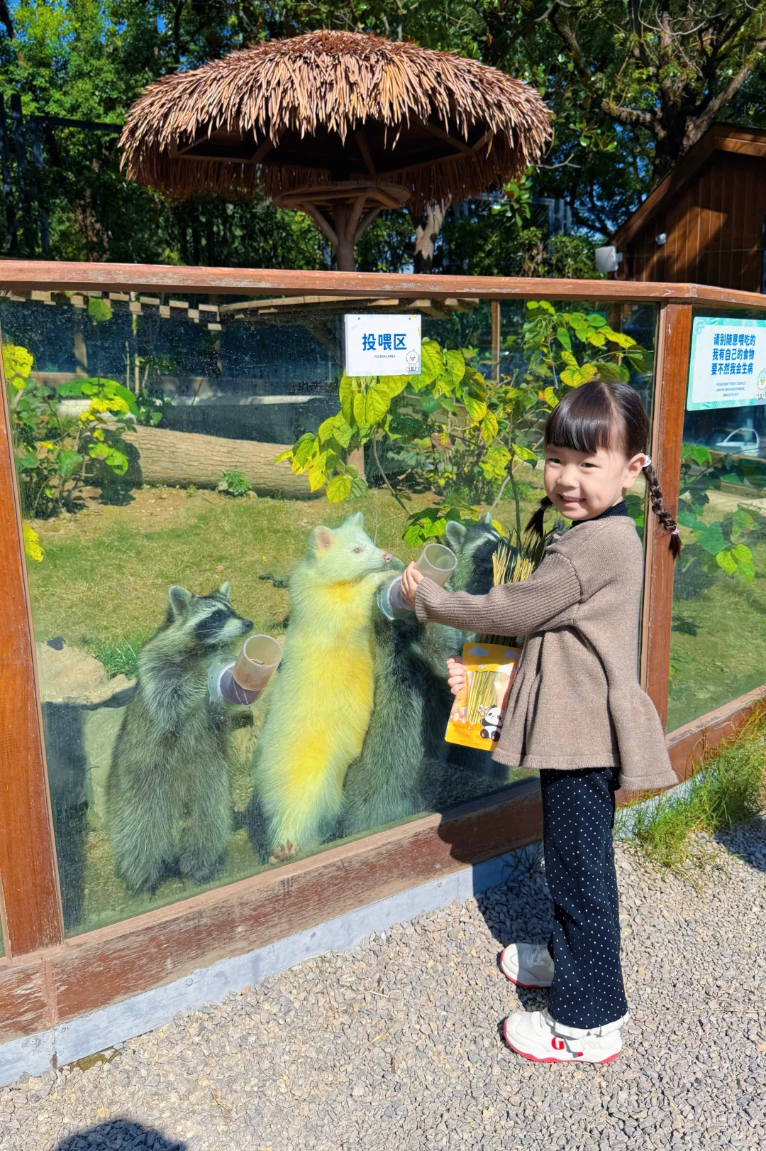 济南🚄1h 直达|徐州亲子游保姆攻略