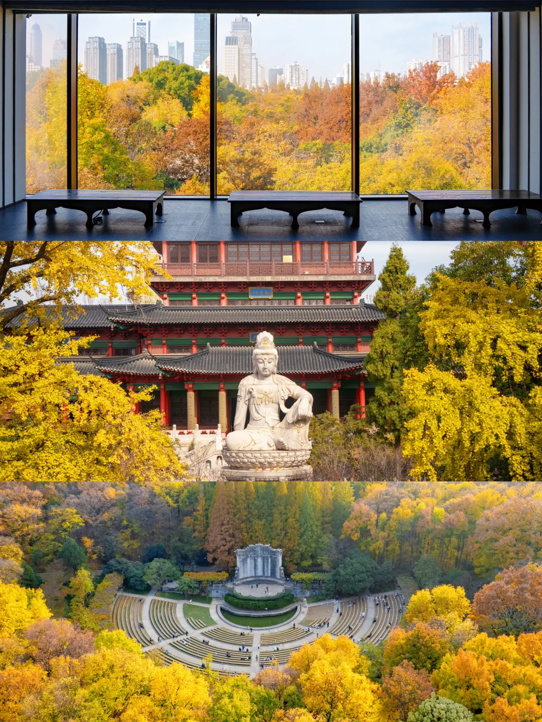 我宣布‼️没有一个城市比南京更懂秋天😭