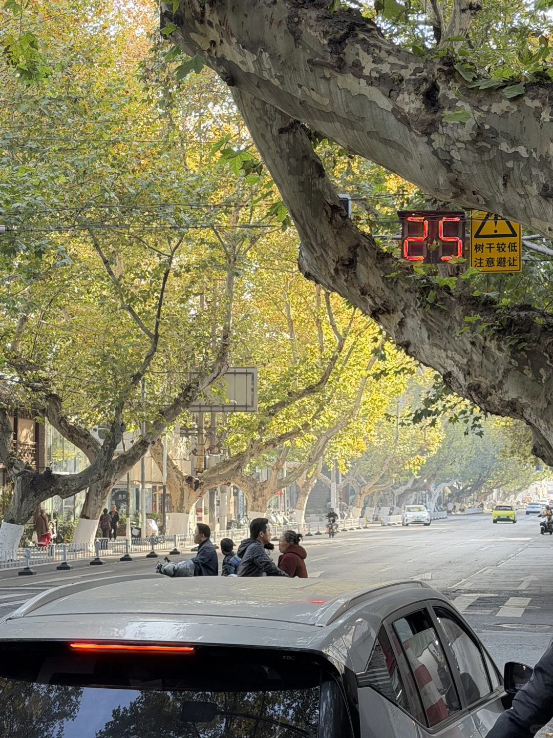 杭州周末往返南京 悠闲版