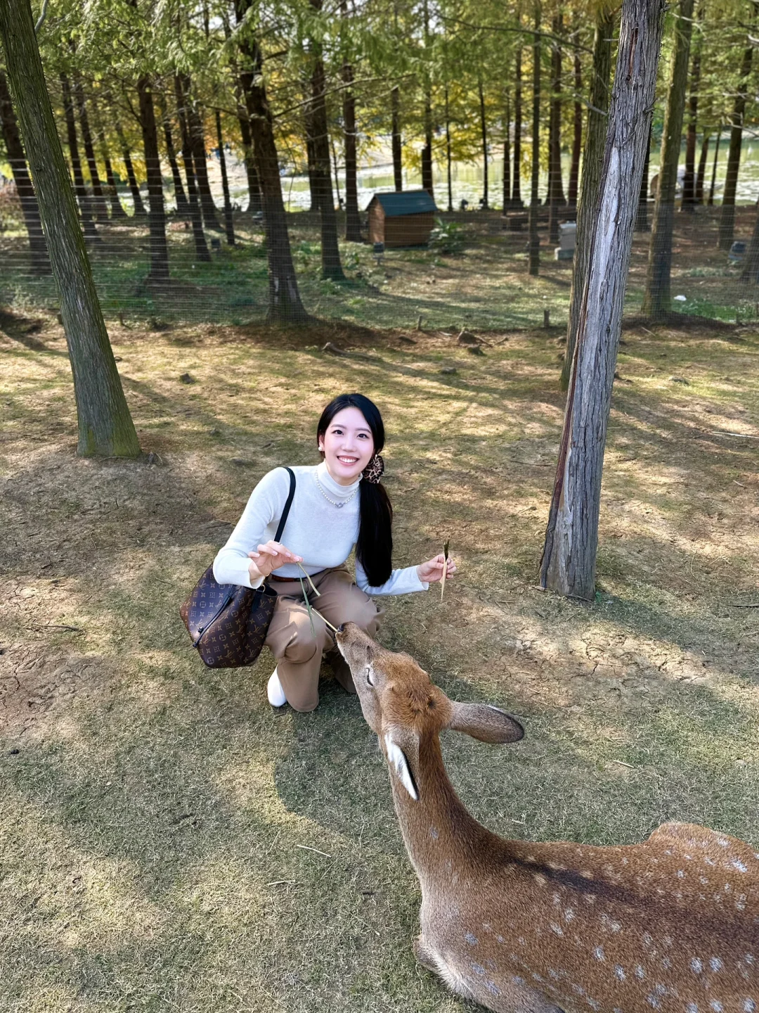 终于等到了12月的南京🍁