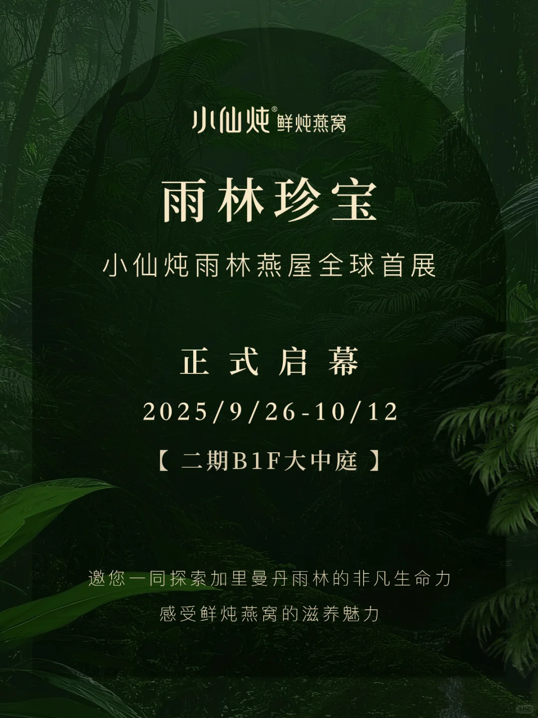 小仙炖「雨林珍宝」全球首展来南京啦🌿