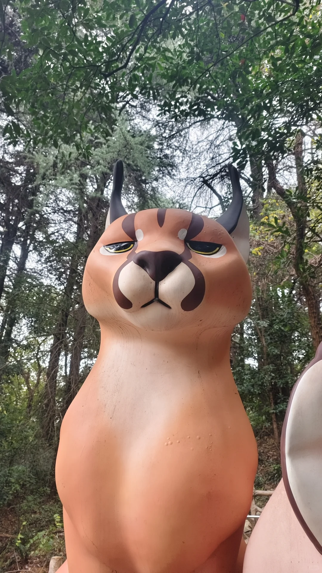 南京，美的滴尿！