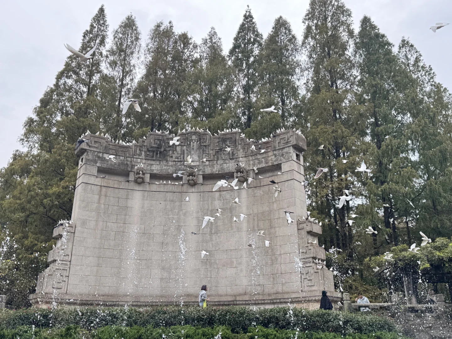 📍南京音乐台🎵｜拍到了鸽群飞舞！