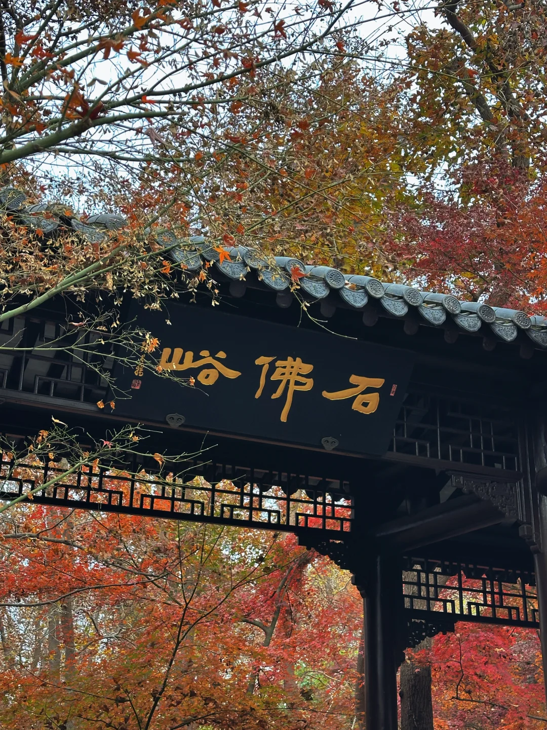 12.02南京栖霞山实况live（免票版）