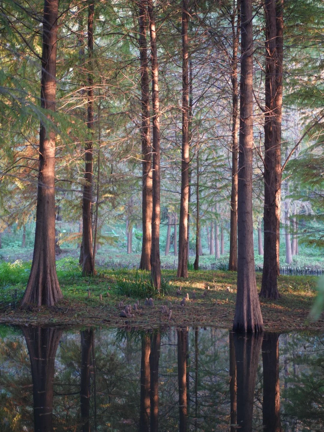 在南京5年去过最惊艳的地方