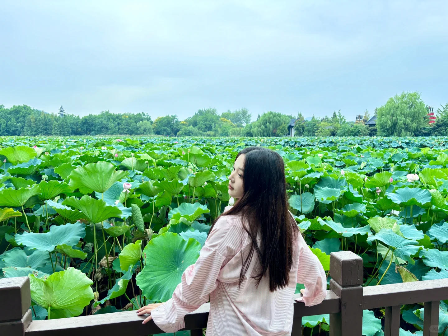 徐州两天一夜松弛逛吃攻略