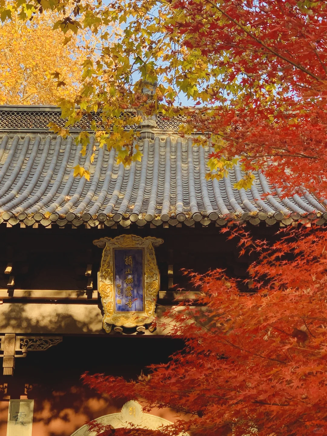 南京栖霞山最美时刻