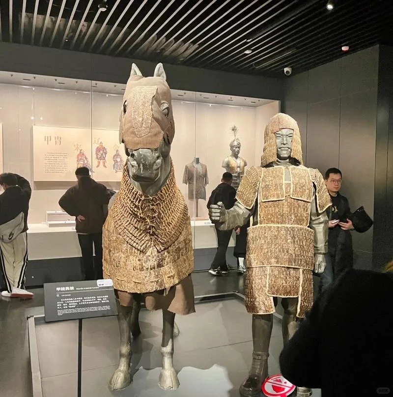 来徐州 可不要错过徐州博物馆🌈