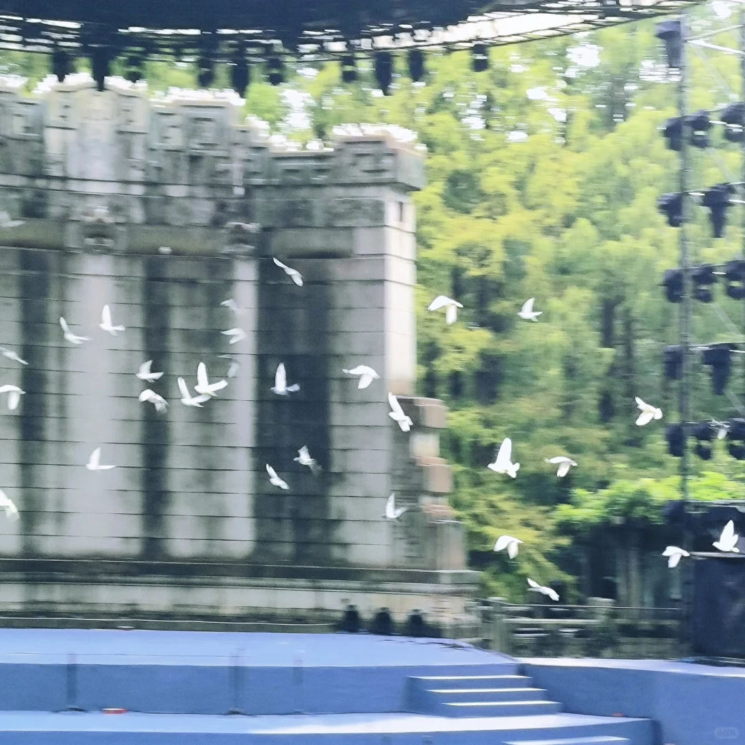 📍南京旅游🎶 🕊️|朋友圈文案