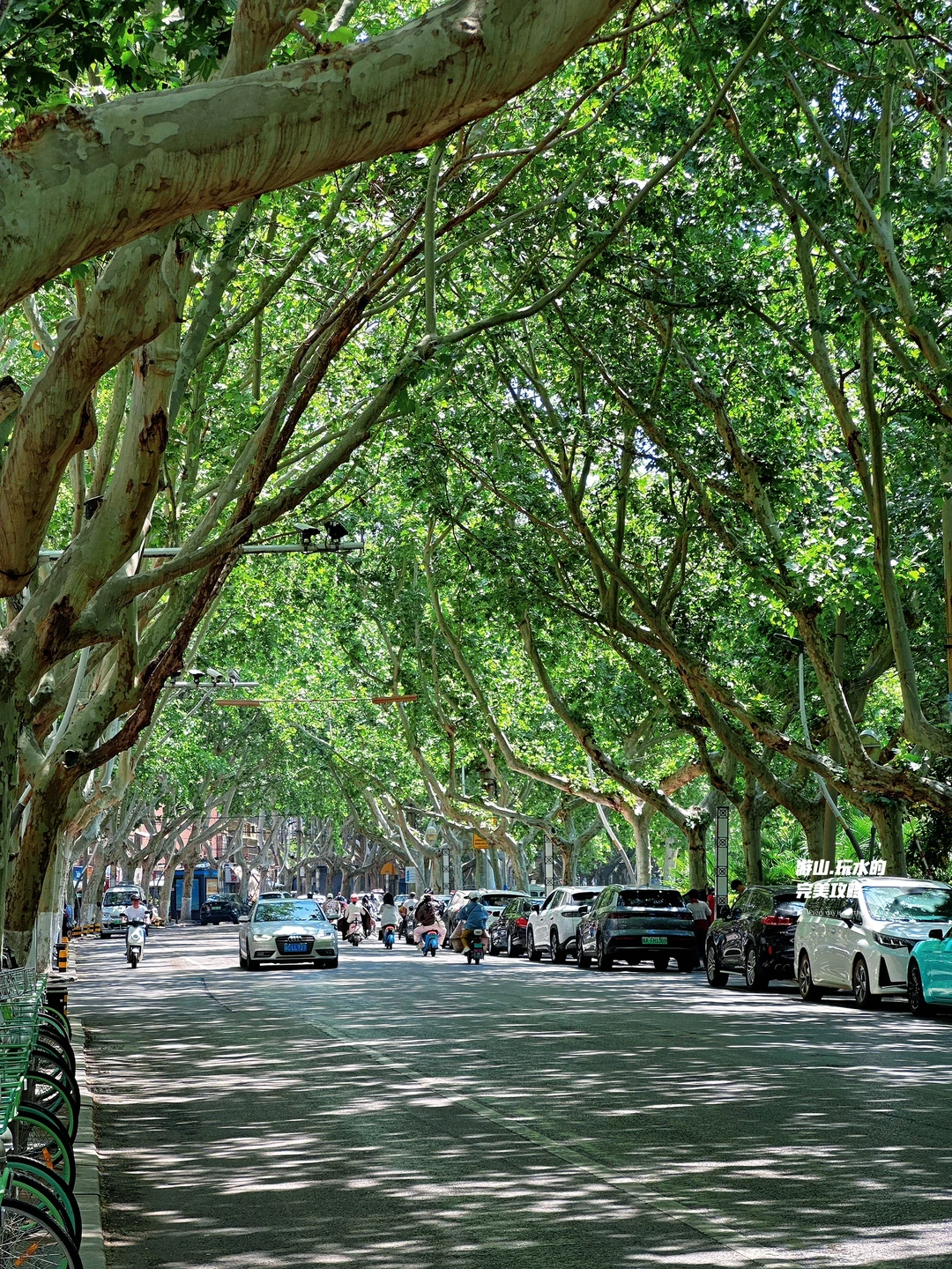 评论区说这是徐州最舒服的街道？