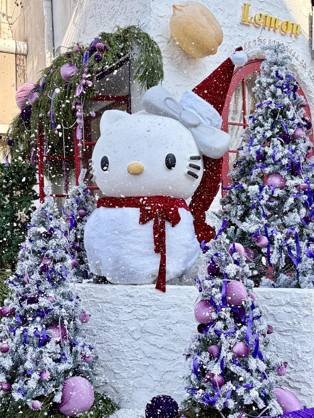 徐州小巷子里藏着紫色的浪漫圣诞🎄