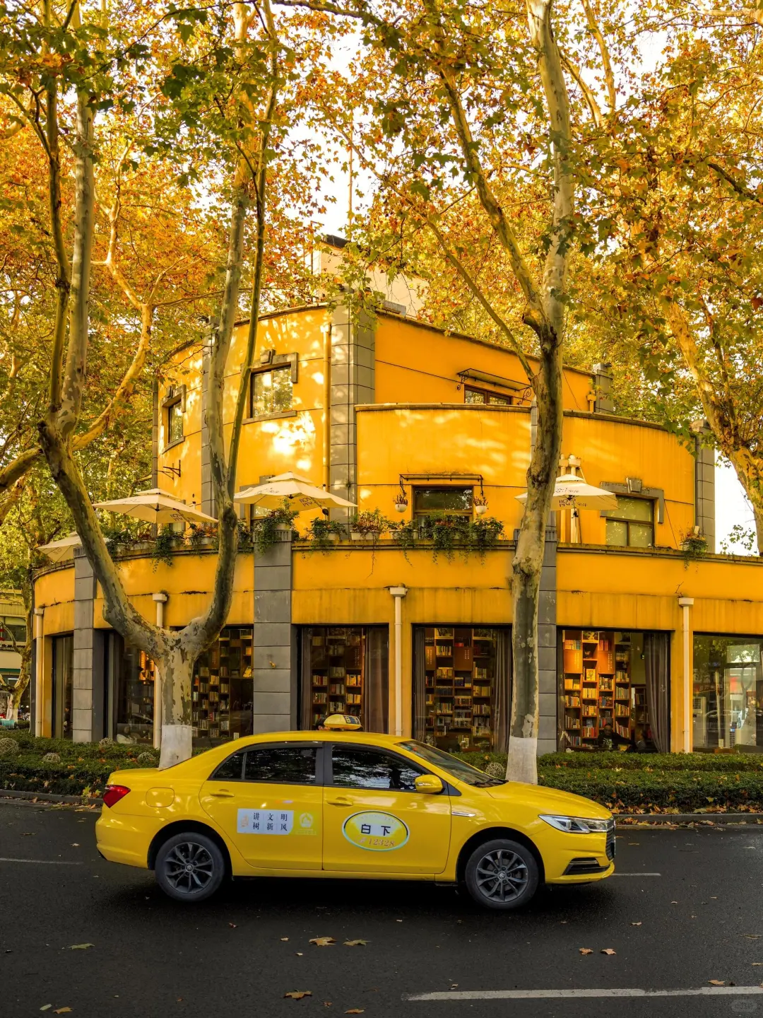 南京秋日封神‼️1️⃣8️⃣个出片机位朋友圈赞爆