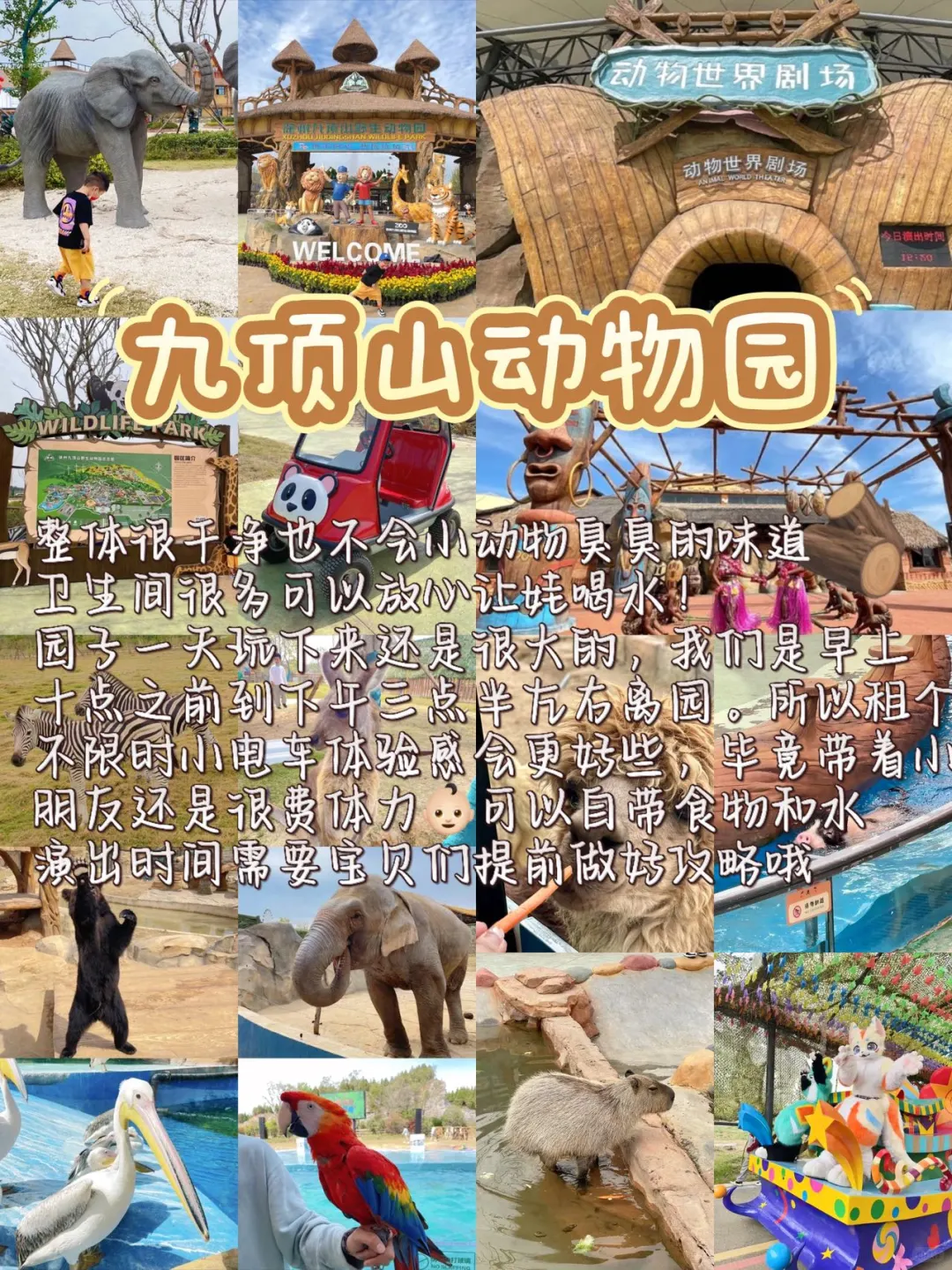 📍徐州亲子游｜不费妈攻略看这里👇🏻（低龄版