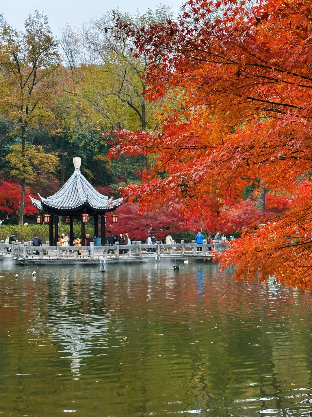 12.02南京栖霞山实况live（免票版）