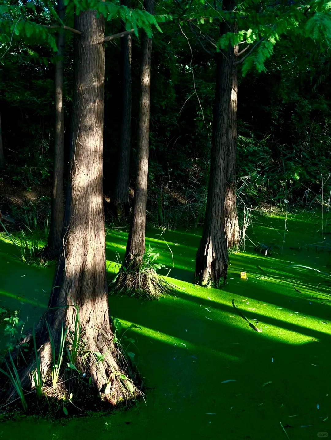 徐州两天一夜松弛逛吃攻略