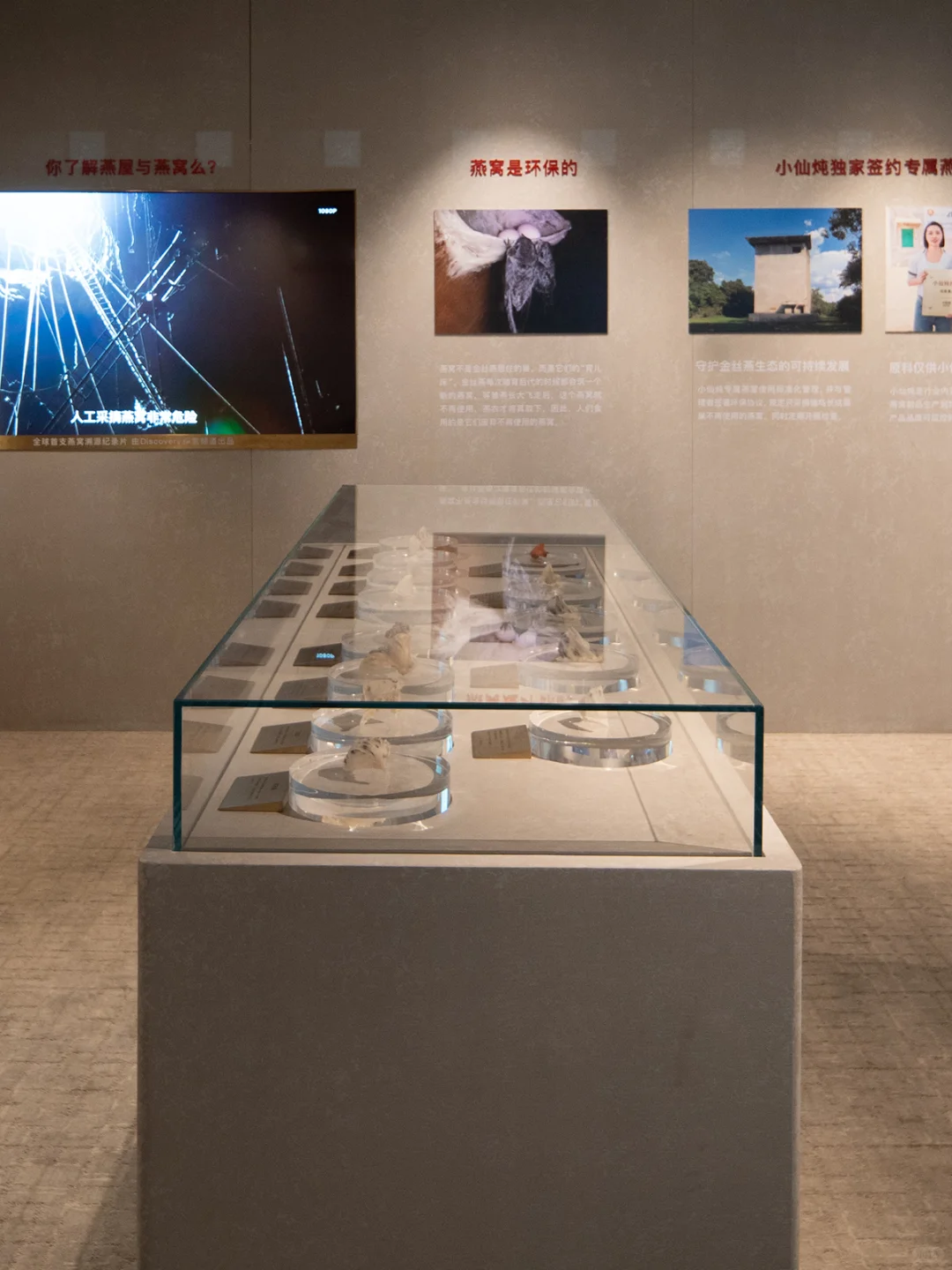 小仙炖「雨林珍宝」全球首展来南京啦🌿