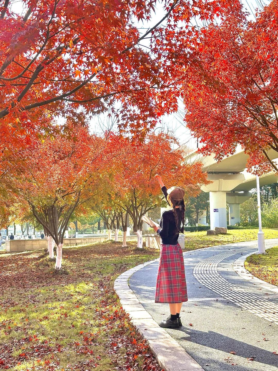 为了这1️⃣8️⃣张图，我特意秋天来了趟南京🍂