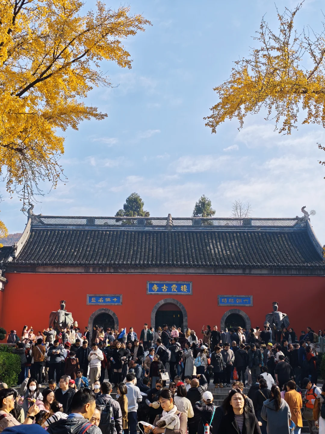 💥南京栖霞山周末来了一亿人！挤爆了～