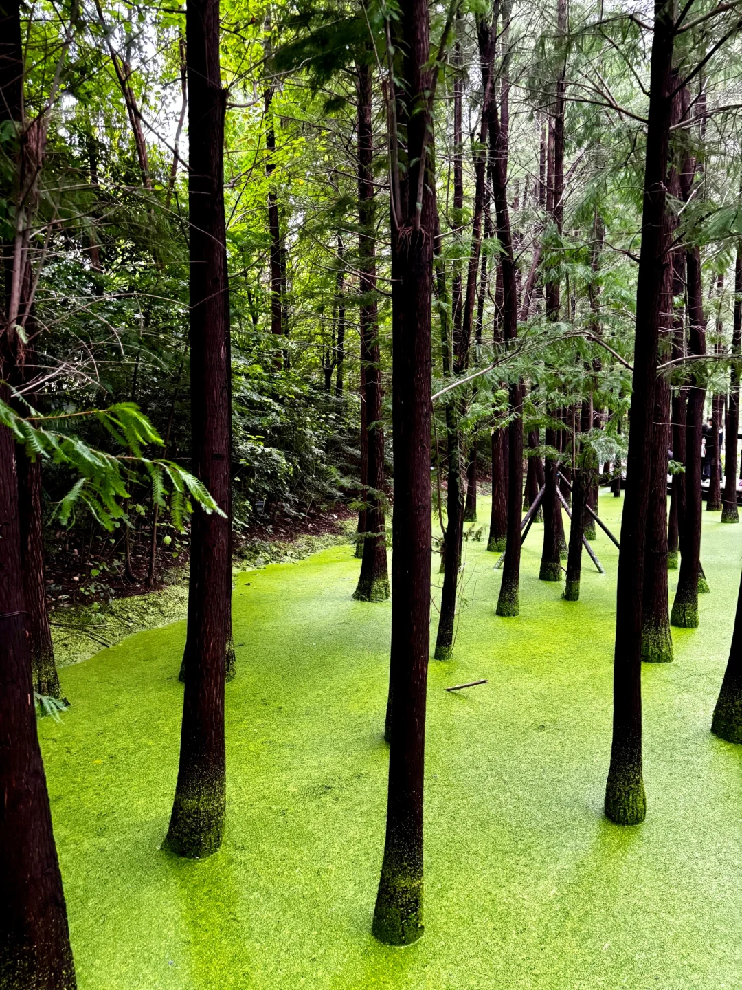 徐州两天一夜松弛逛吃攻略