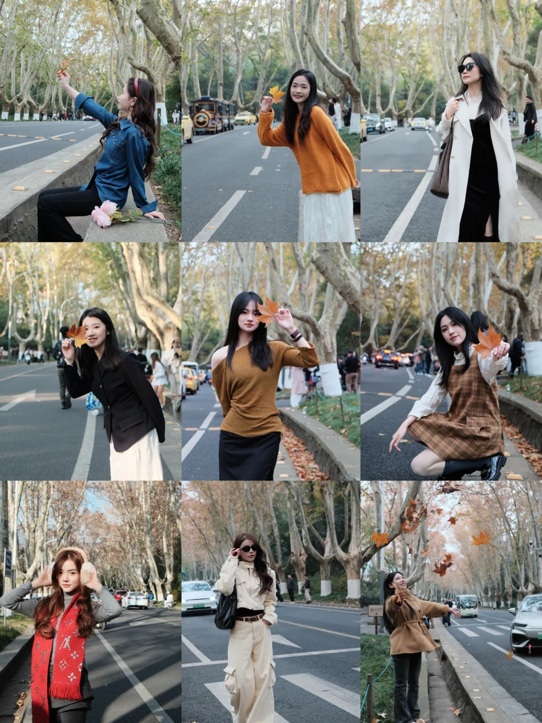 12.3梧桐大道黄叶进度95% 实时游客穿搭