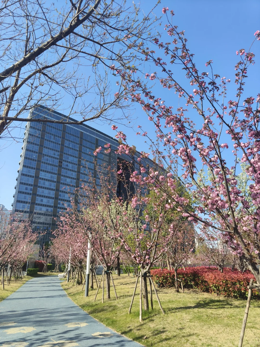 徐州新城区城建真美