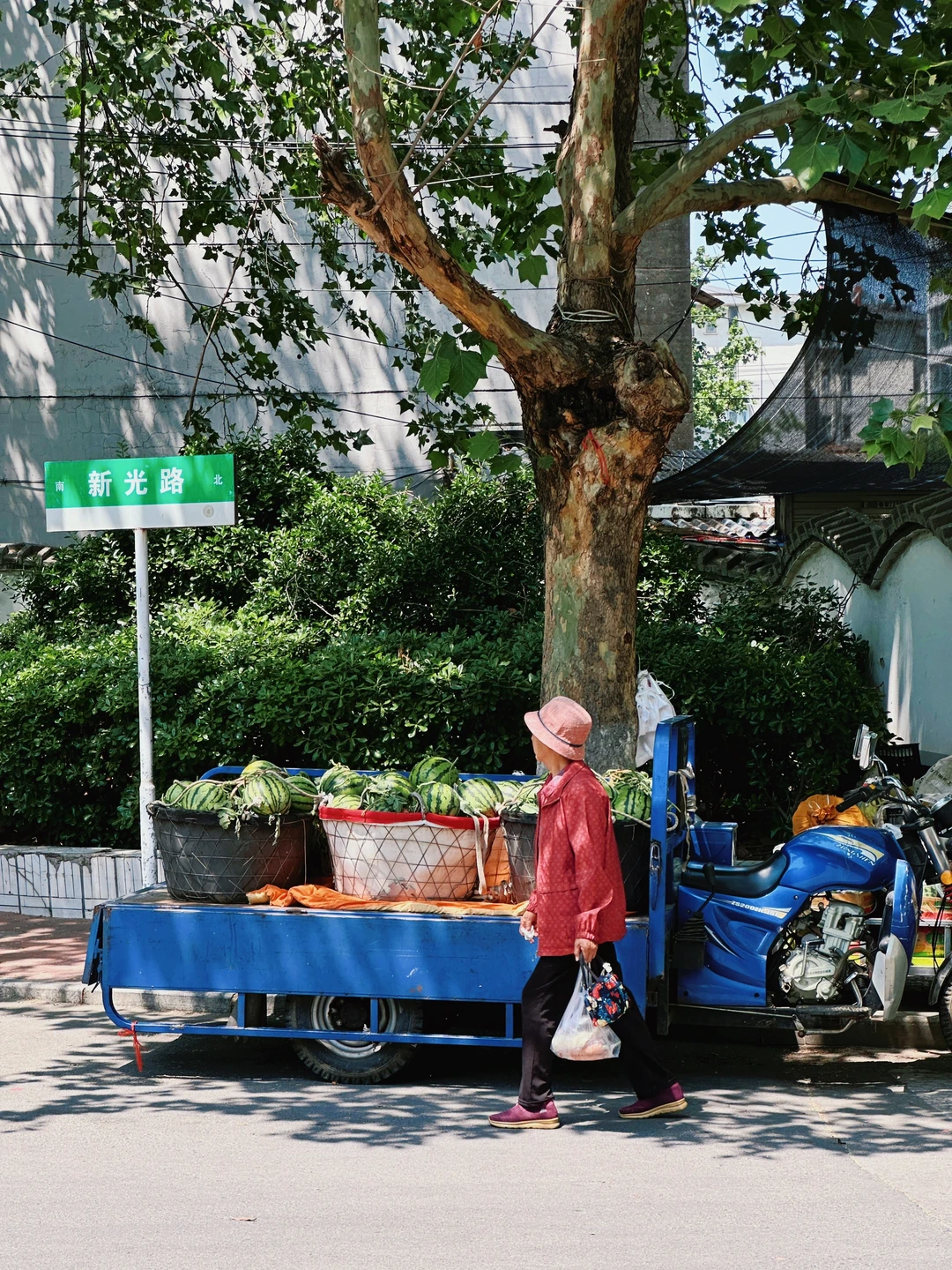 评论区说这是徐州最舒服的街道？