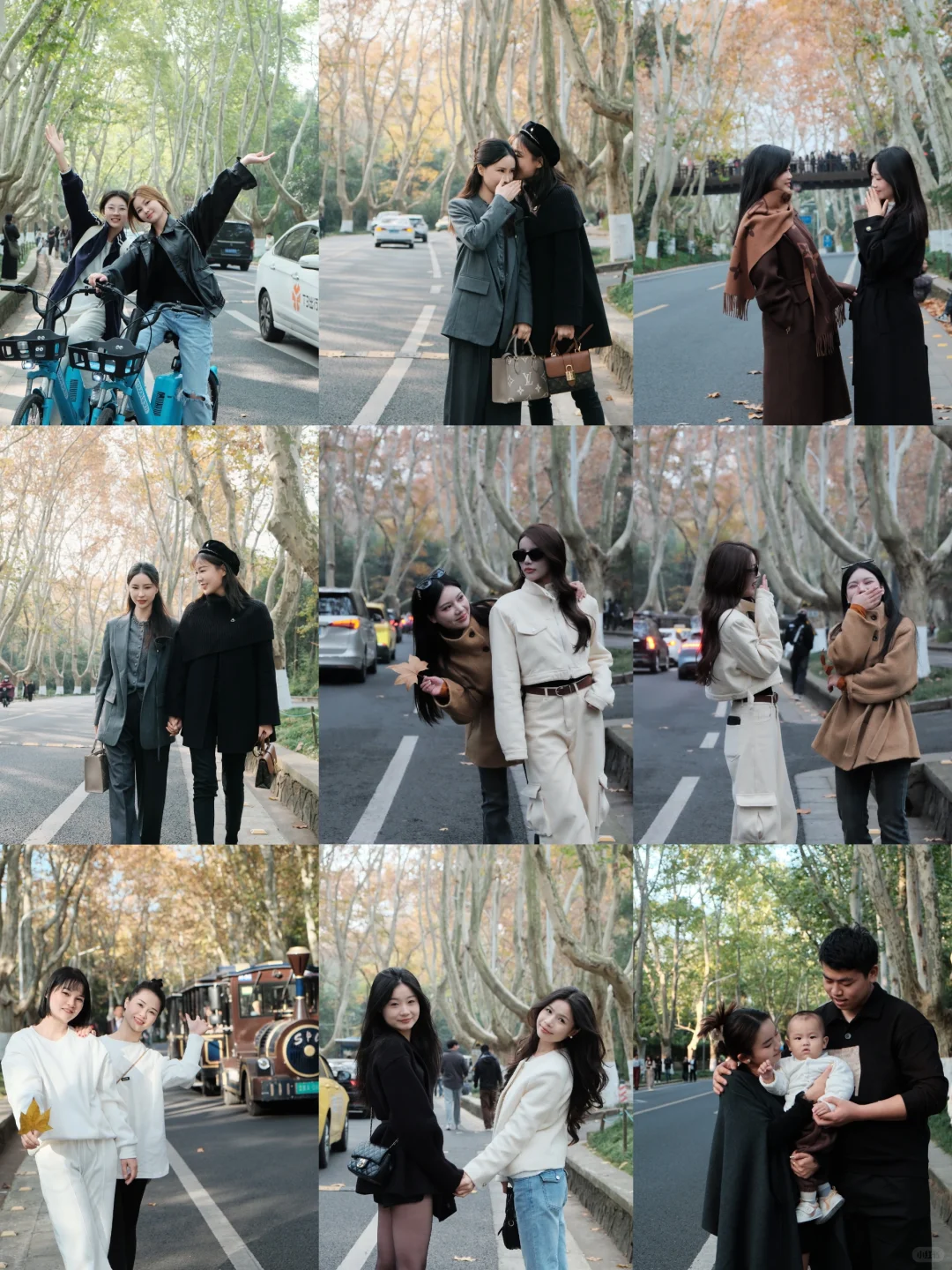 12.3梧桐大道黄叶进度95% 实时游客穿搭