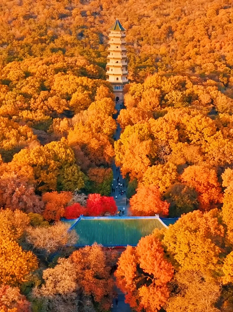 南京秋日封神‼️1️⃣8️⃣个出片机位朋友圈赞爆