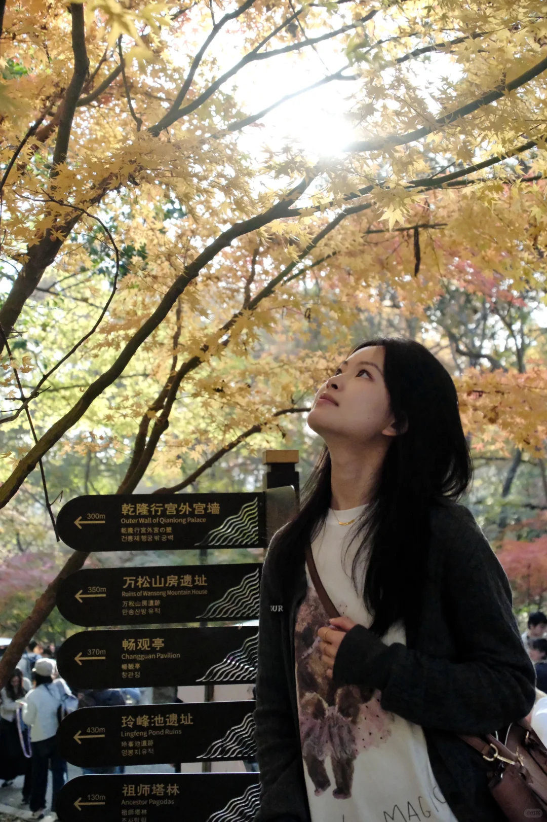 杭州周末往返南京 悠闲版