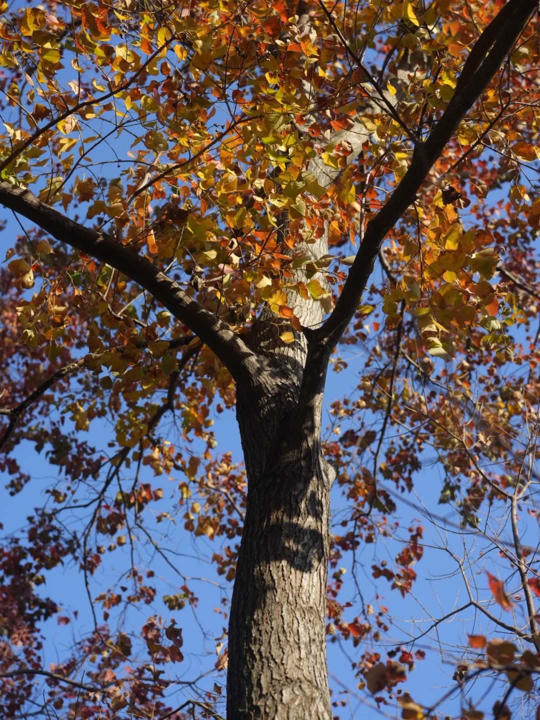 在南京5年去过最惊艳的地方