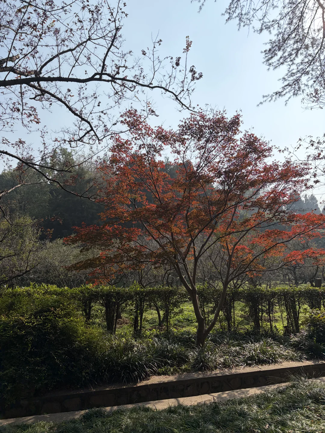 南京是去了2亿人吗