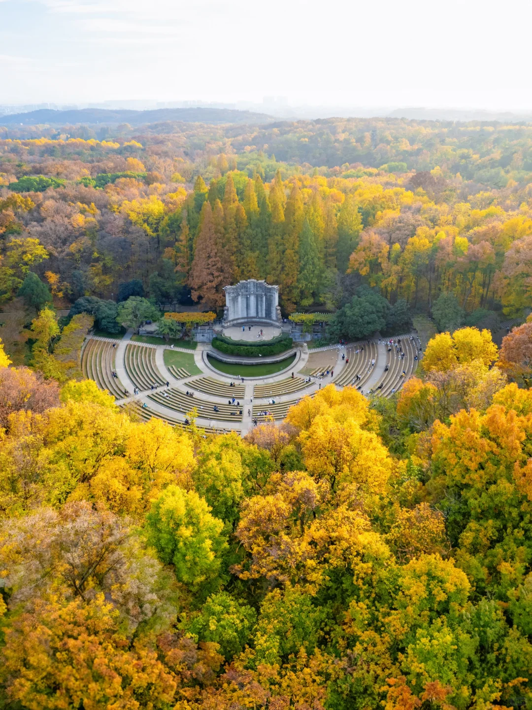 我宣布‼️没有一个城市比南京更懂秋天😭