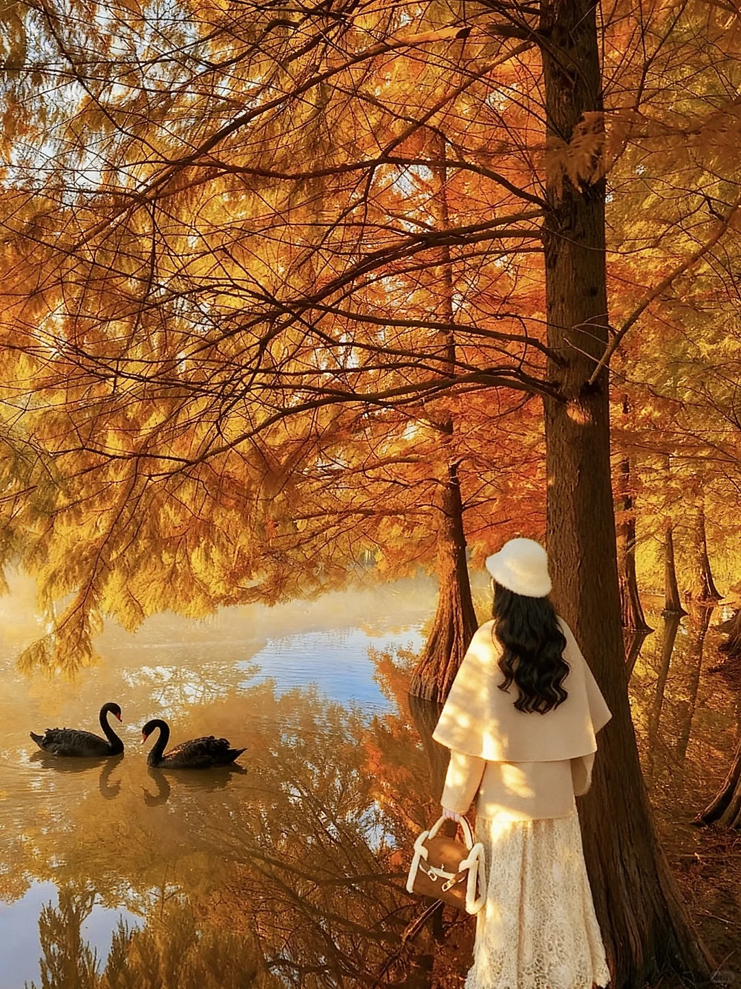 南京秋日封神‼️1️⃣8️⃣个出片机位朋友圈赞爆