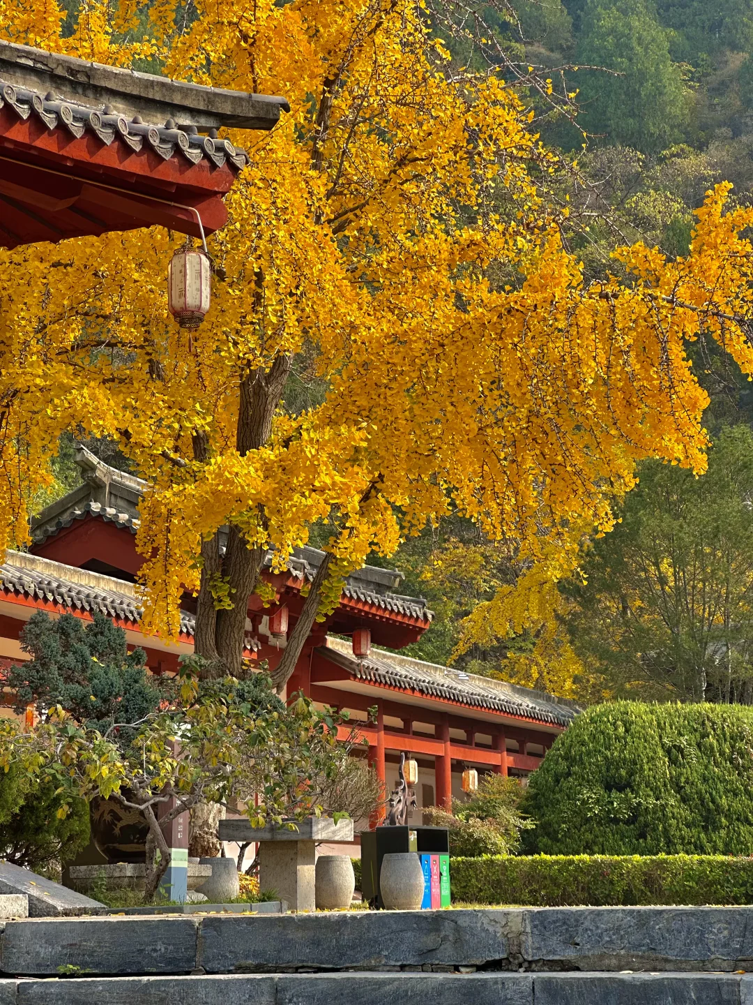 一个普通游客眼里的徐州（青岛出发🚄周末游）