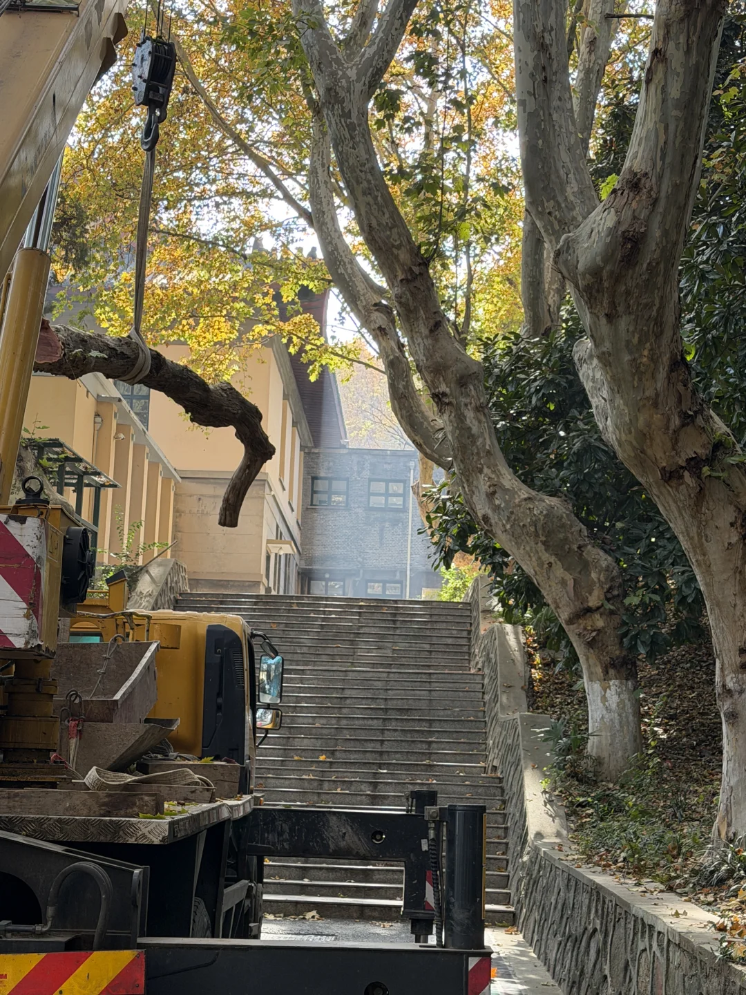 杭州周末往返南京 悠闲版