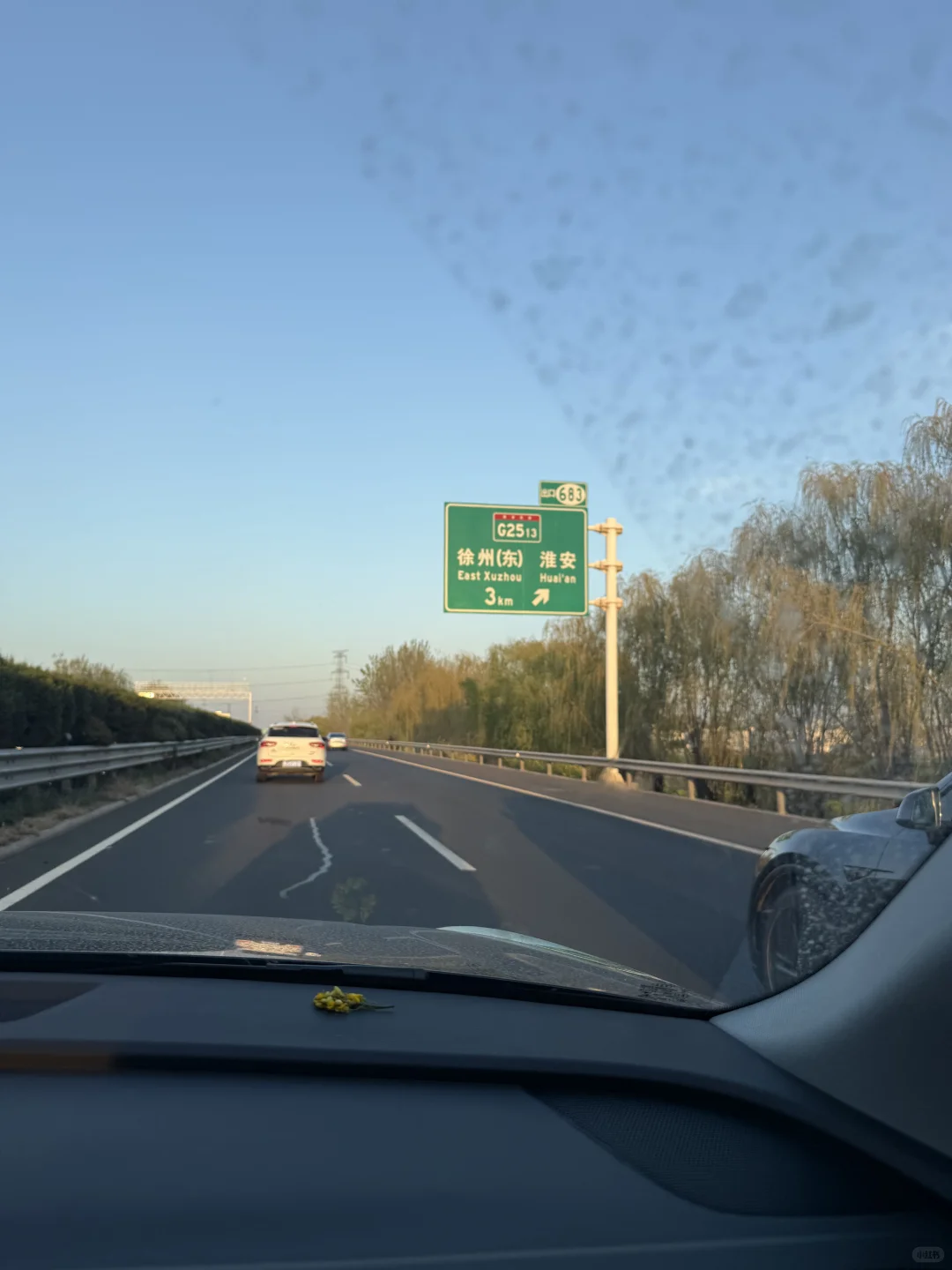 徐州北高速口谁丢狗了