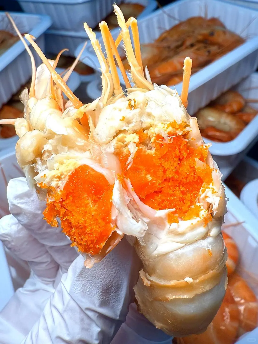 离开南京我醉想打包带走的。。