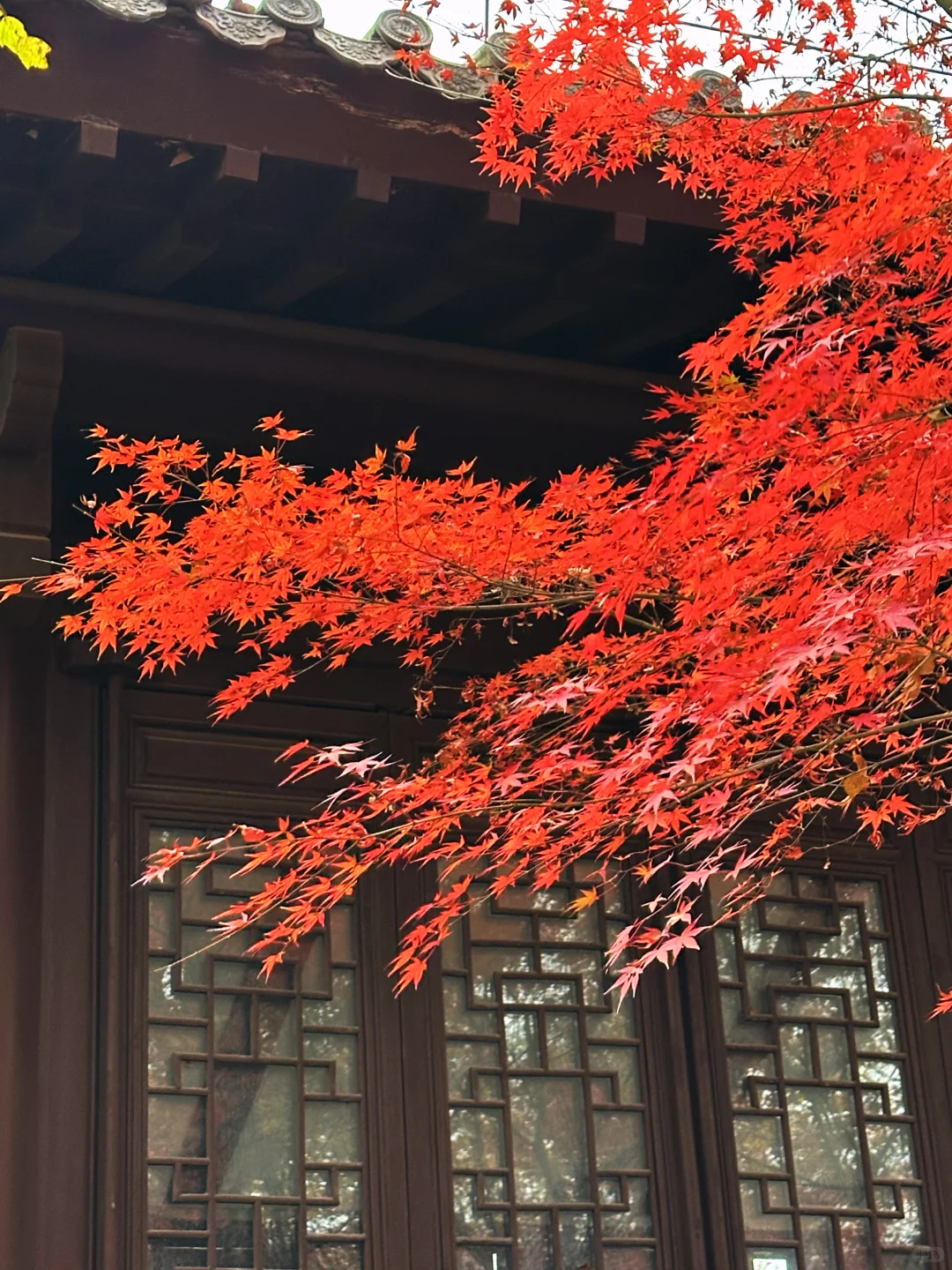 12.02南京栖霞山实况live（免票版）