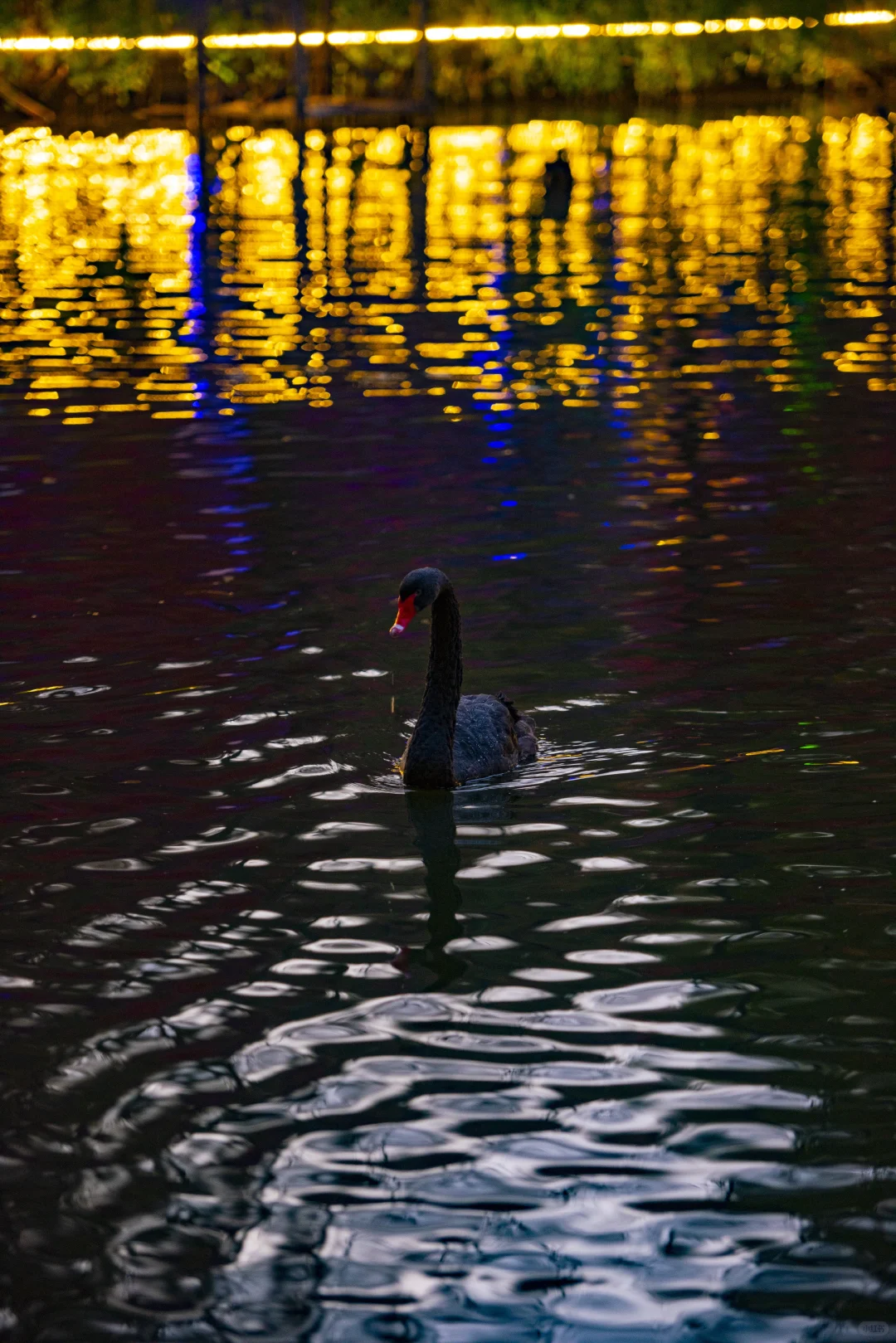 ❤️12.6实拍｜南京栖霞山赏枫进行时