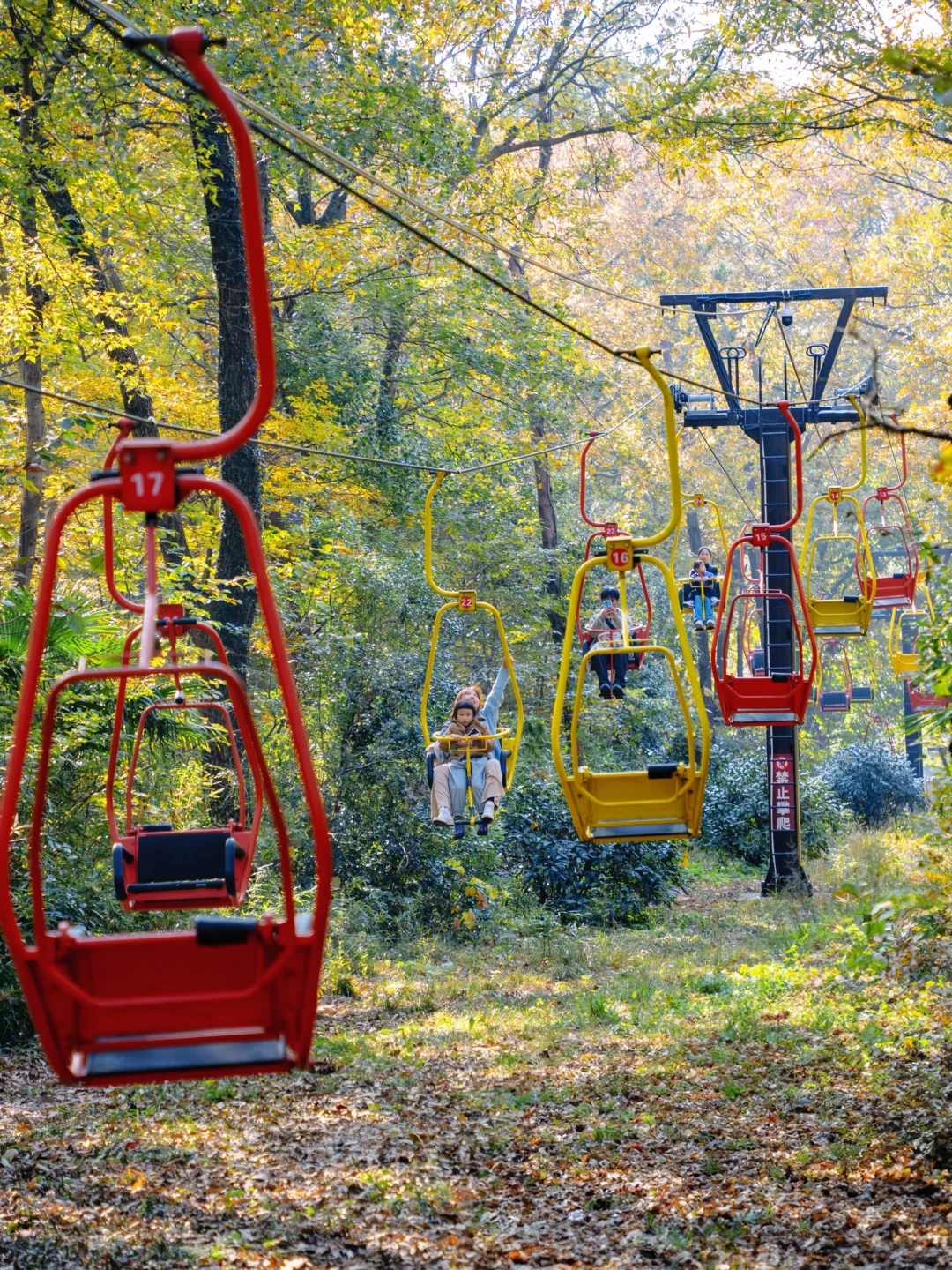我宣布‼️没有一个城市比南京更懂秋天😭