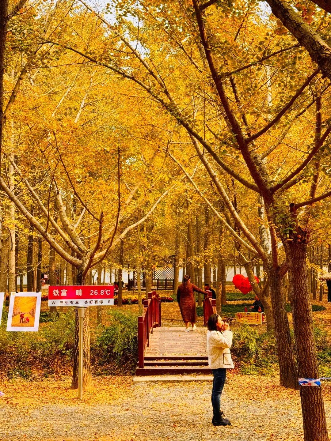 徐州的秋天🍂真的美疯了！！！