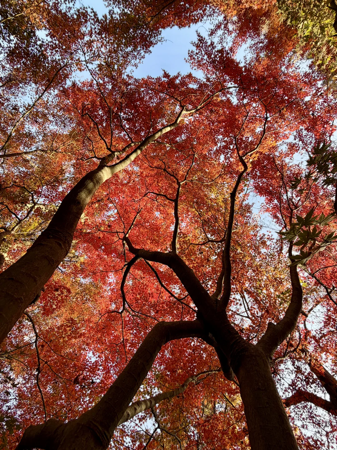 杭州周末往返南京 悠闲版