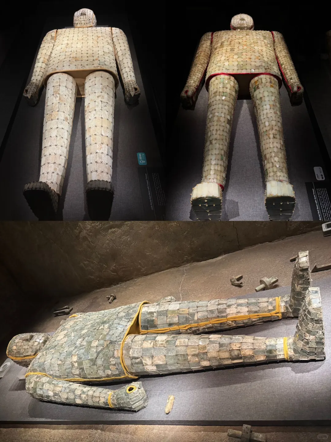 徐州博物馆正式入驻小红书啦！！！