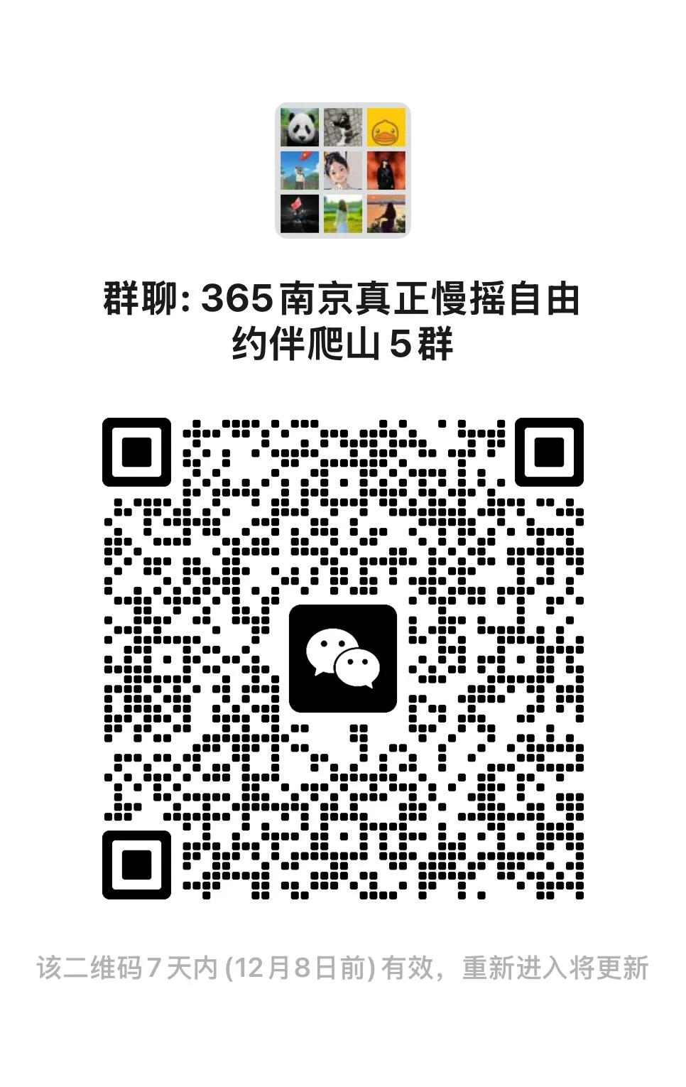 南京365真正小白慢摇户外爬山自由约伴群