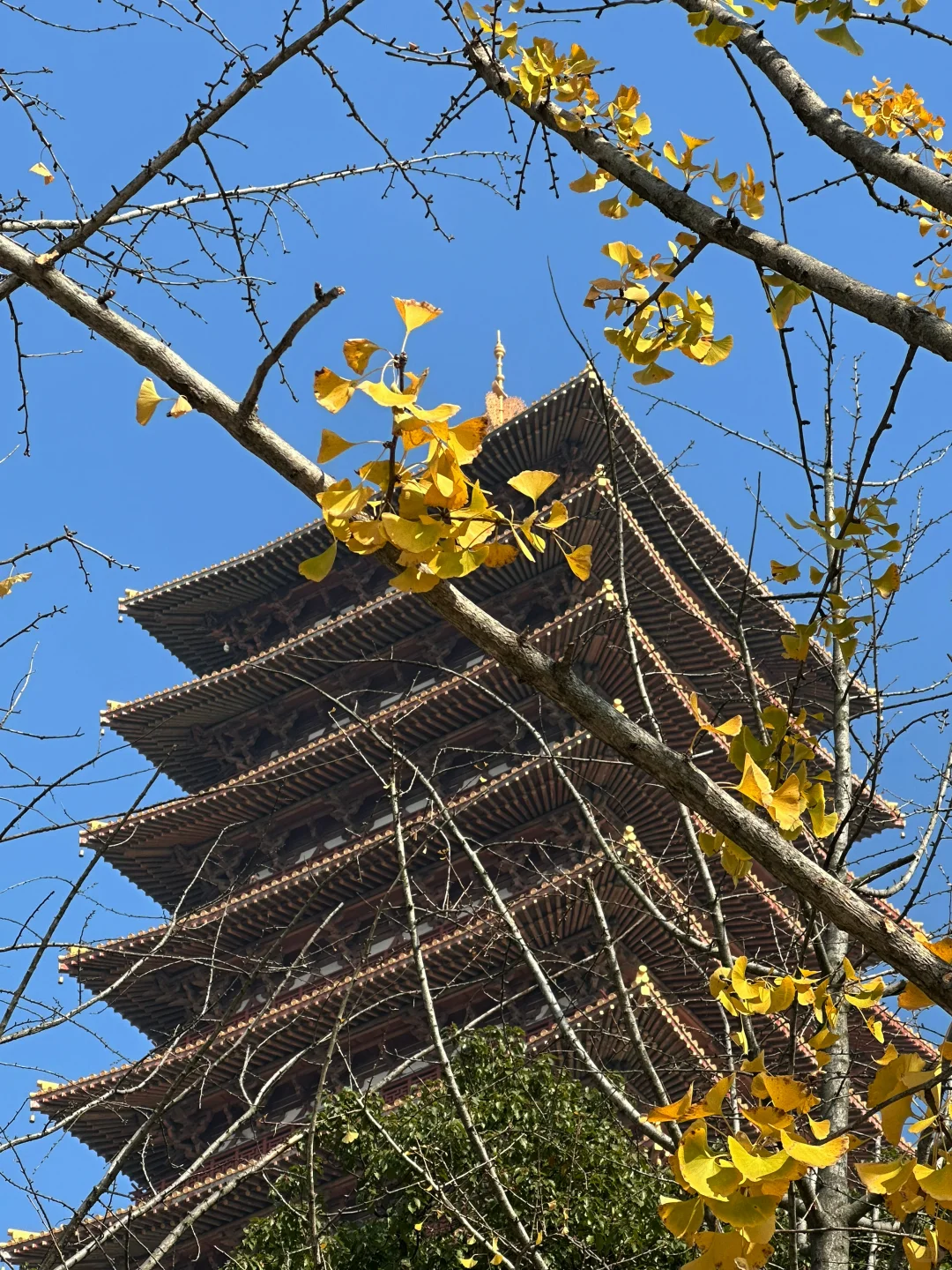 南京很好，想回长沙了