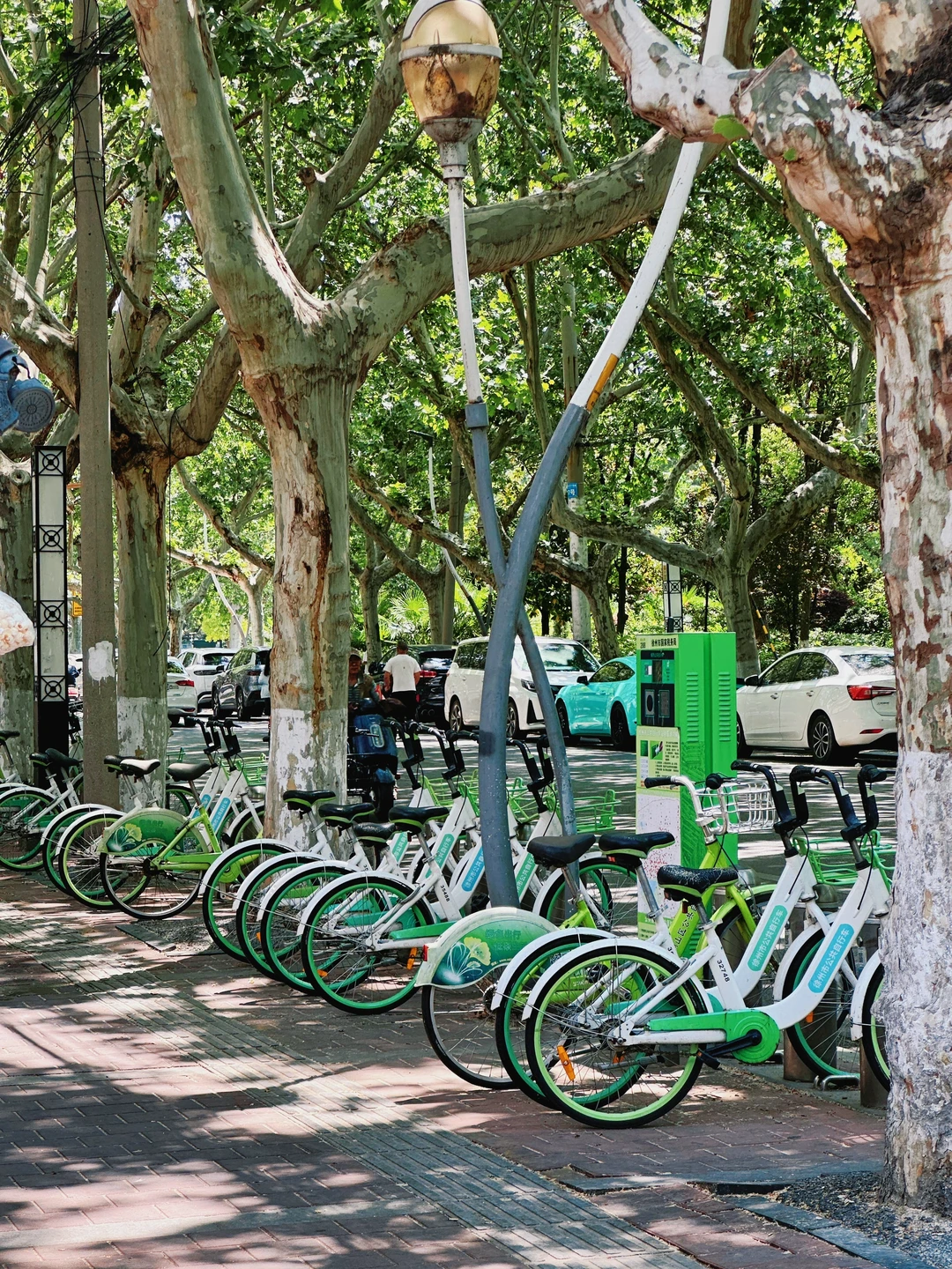 评论区说这是徐州最舒服的街道？