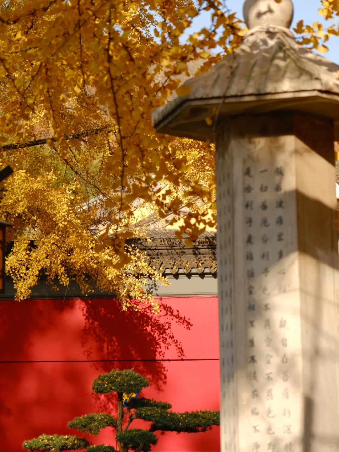 南京栖霞山最美时刻