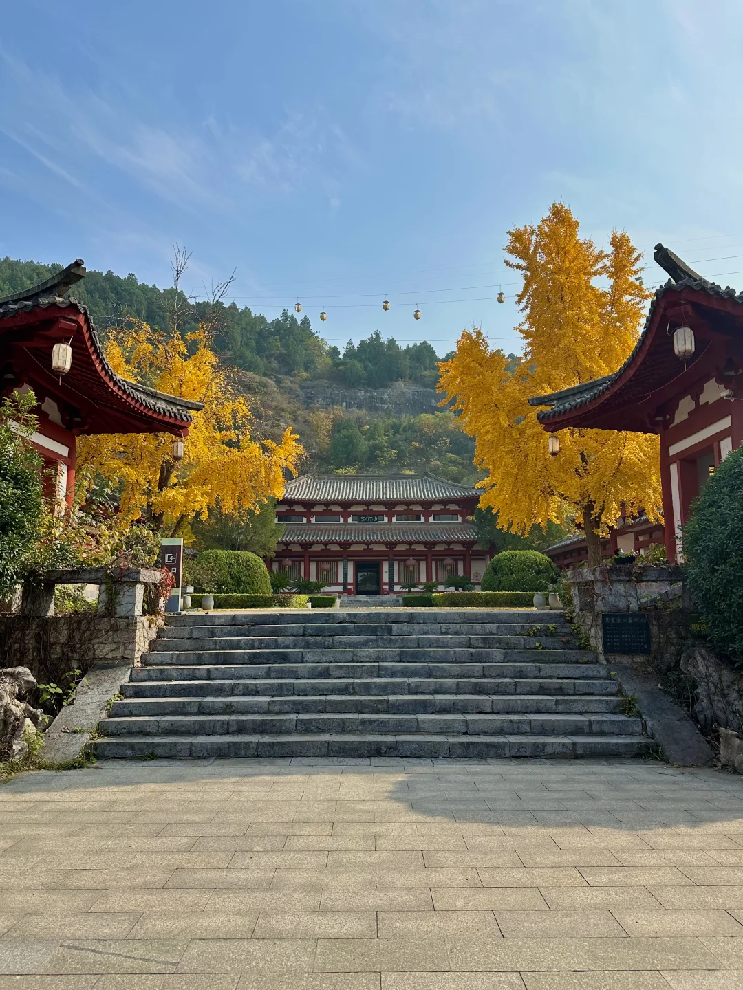 一个普通游客眼里的徐州（青岛出发🚄周末游）