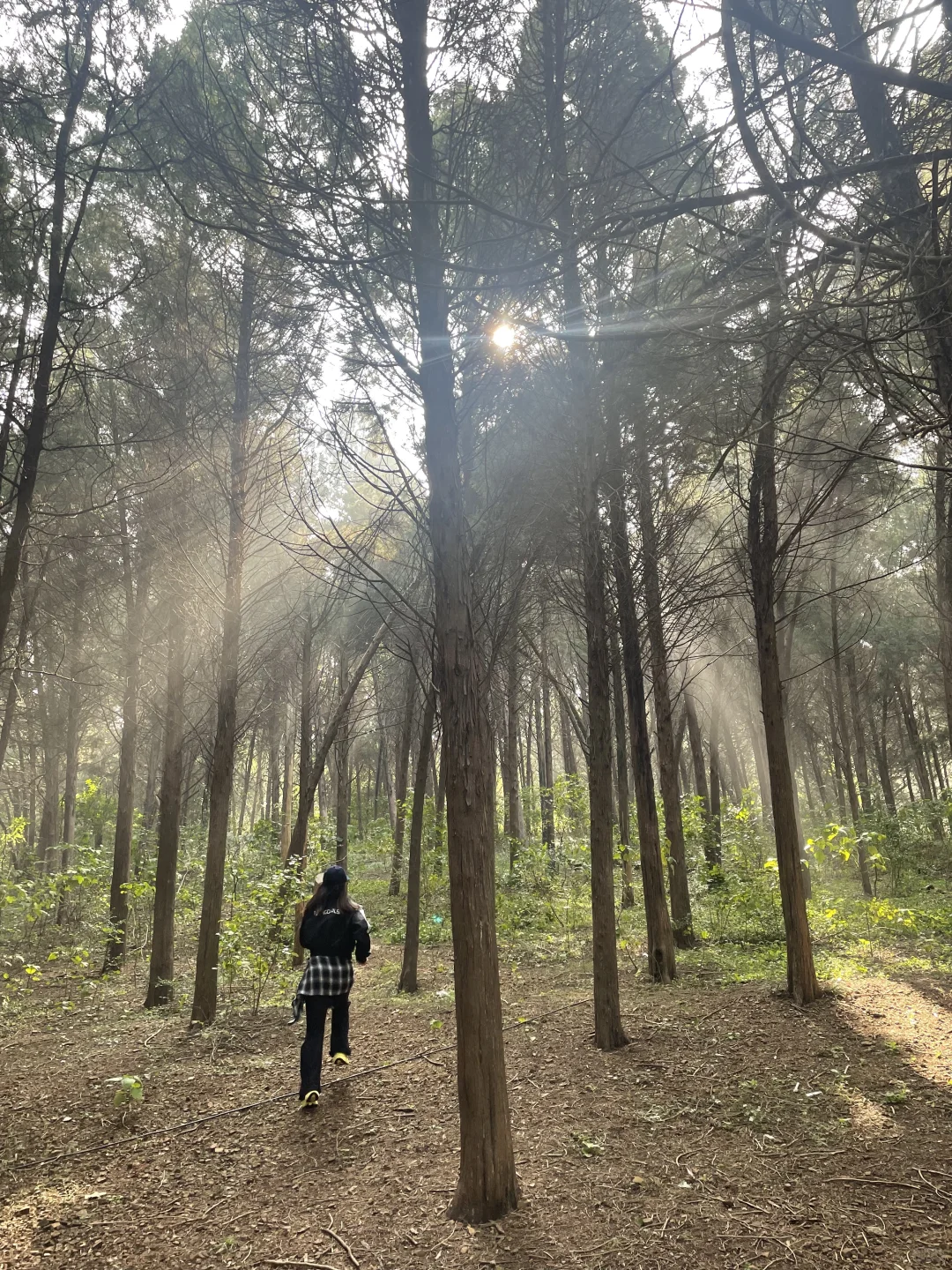 徐州户外徒步遛娃