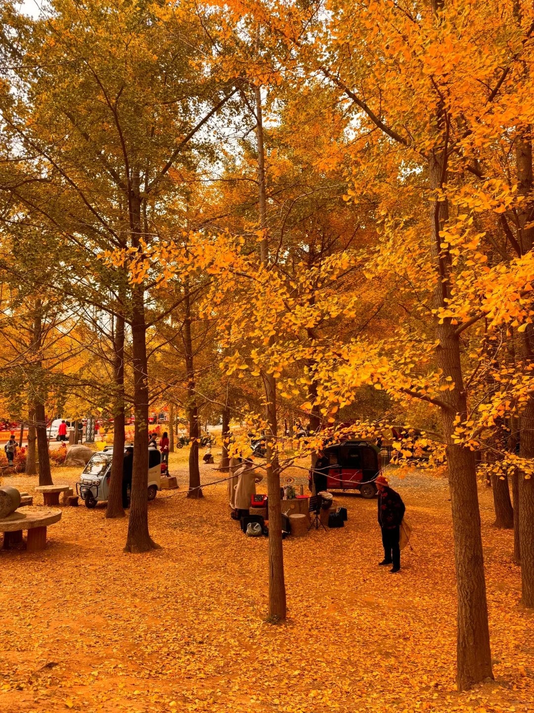 徐州的秋天🍂真的美疯了！！！